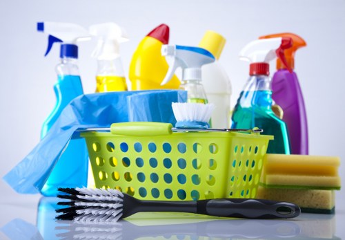 Regular domestic cleaning for a tidy Streatham home