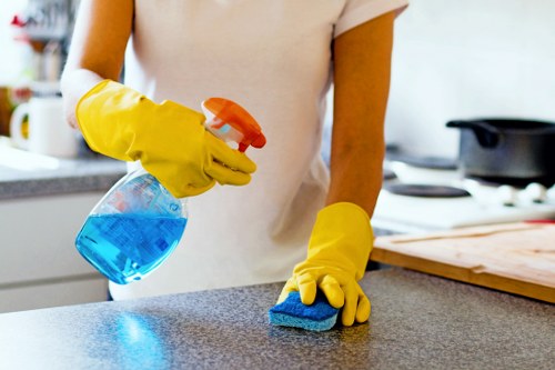 Stain removal and carpet care service in Streatham home interior