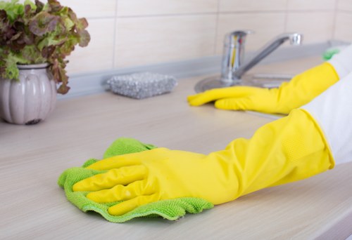 Cleaner in Streatham sanitising a bathroom with attention to detail
