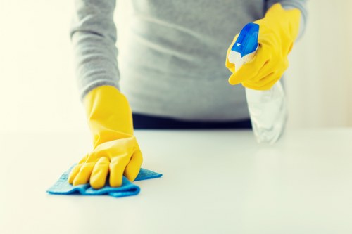Detailed carpet care process for homes and businesses in Streatham