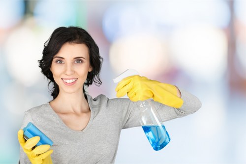 Deep oven cleaning service in Streatham removing grease and grime