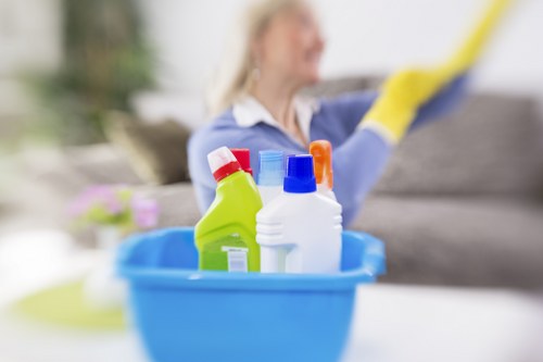 Rug stain removal and deodorising service in Streatham