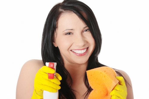Deep cleaning a carpet to remove stains and dirt in Streatham
