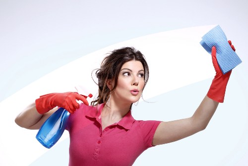 Window cleaner using water-fed pole equipment in Streatham